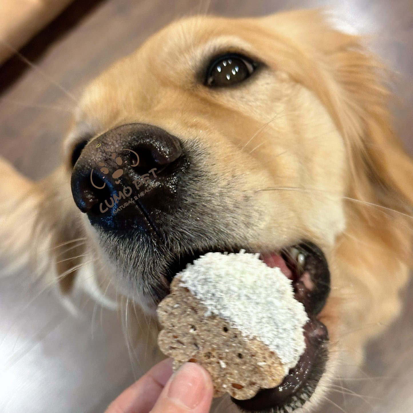 🐶 Flaxseed Coconut Biscuits|亚麻籽椰椰饼干🍪