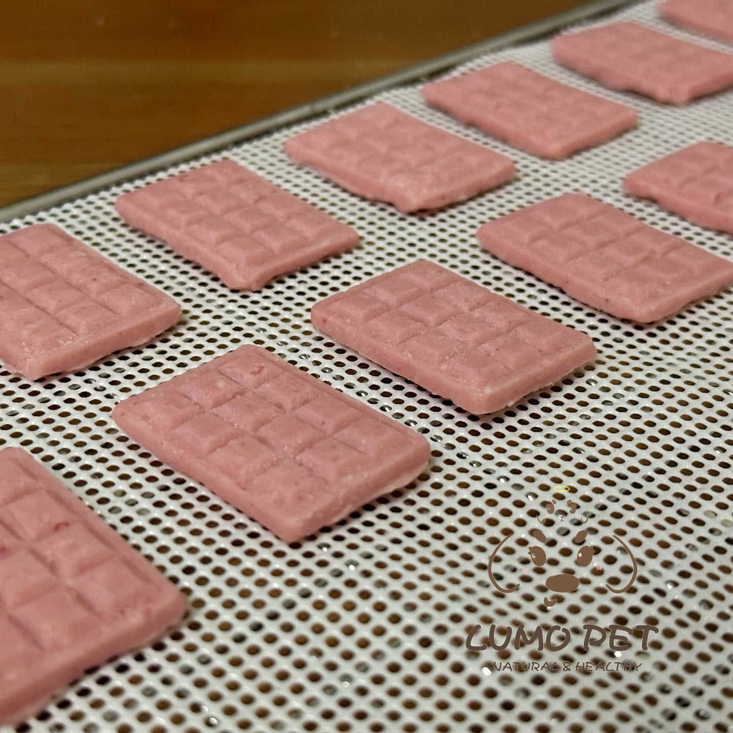 Pet's Chocolate | 宠物巧克力 🍫