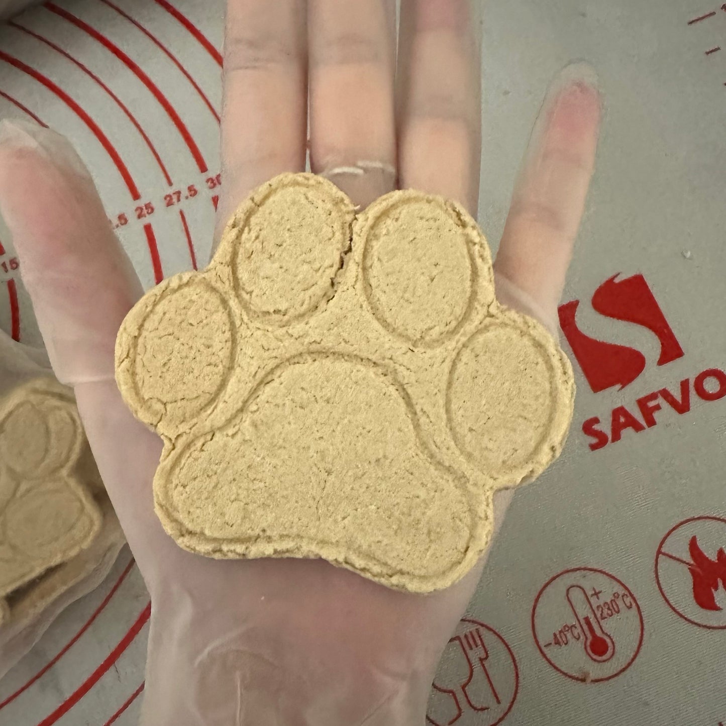 Huge Paw | 巨爪饼干 🐾