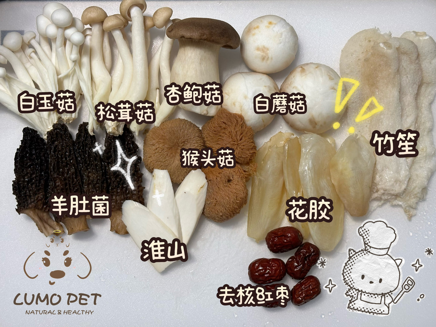 🍄Mushroom Broth|小狗“长寿”菌菇汤☝🏻