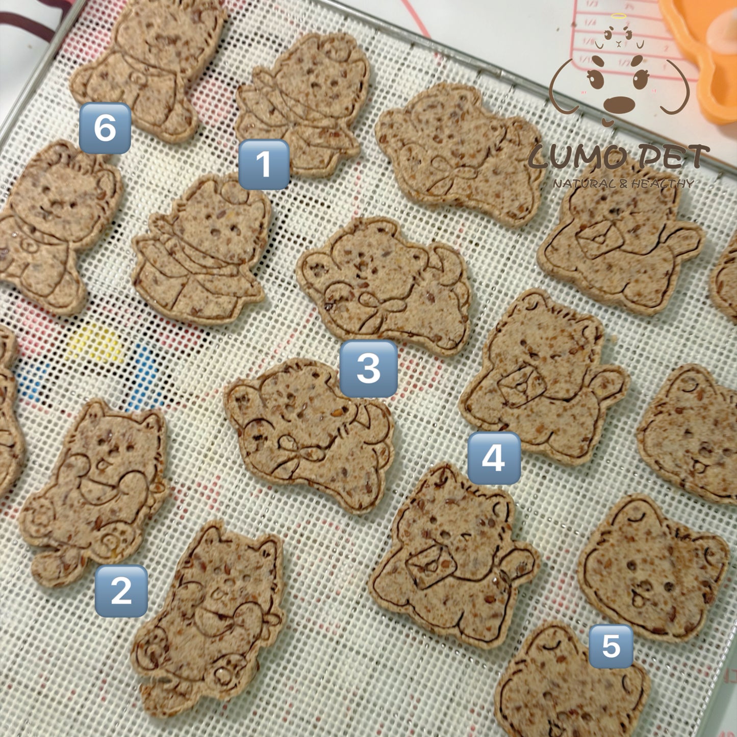 🍪 Dog Biscuit|小狗曲奇 🐶