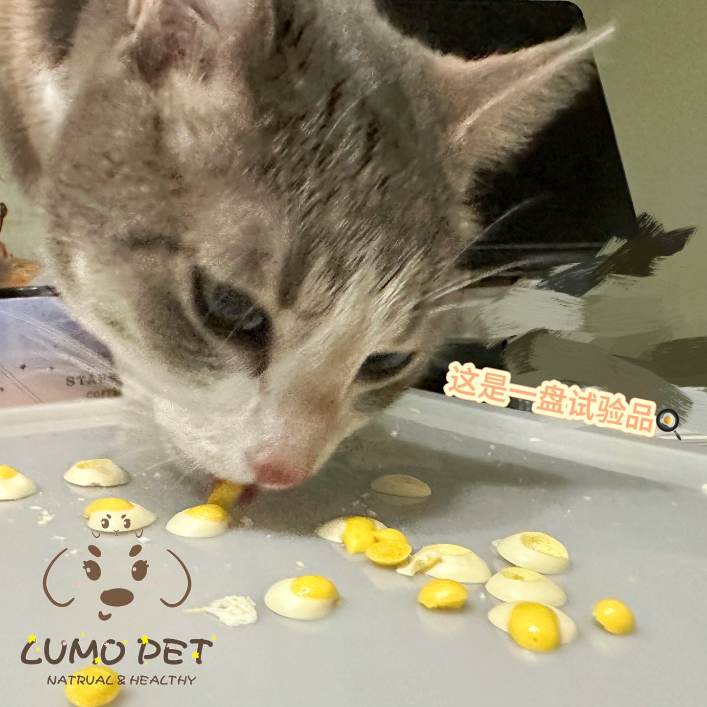 Egg yolk goat milk bean | 蛋黄溶豆