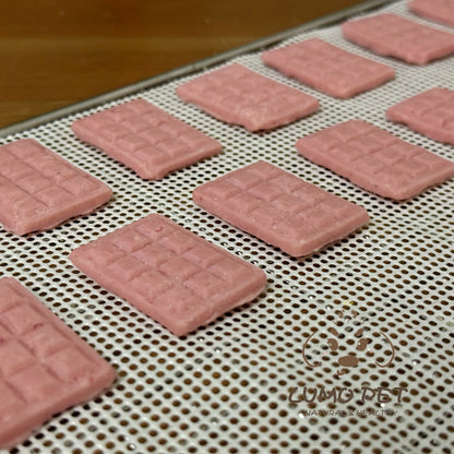 Pet's Chocolate | 宠物巧克力 🍫