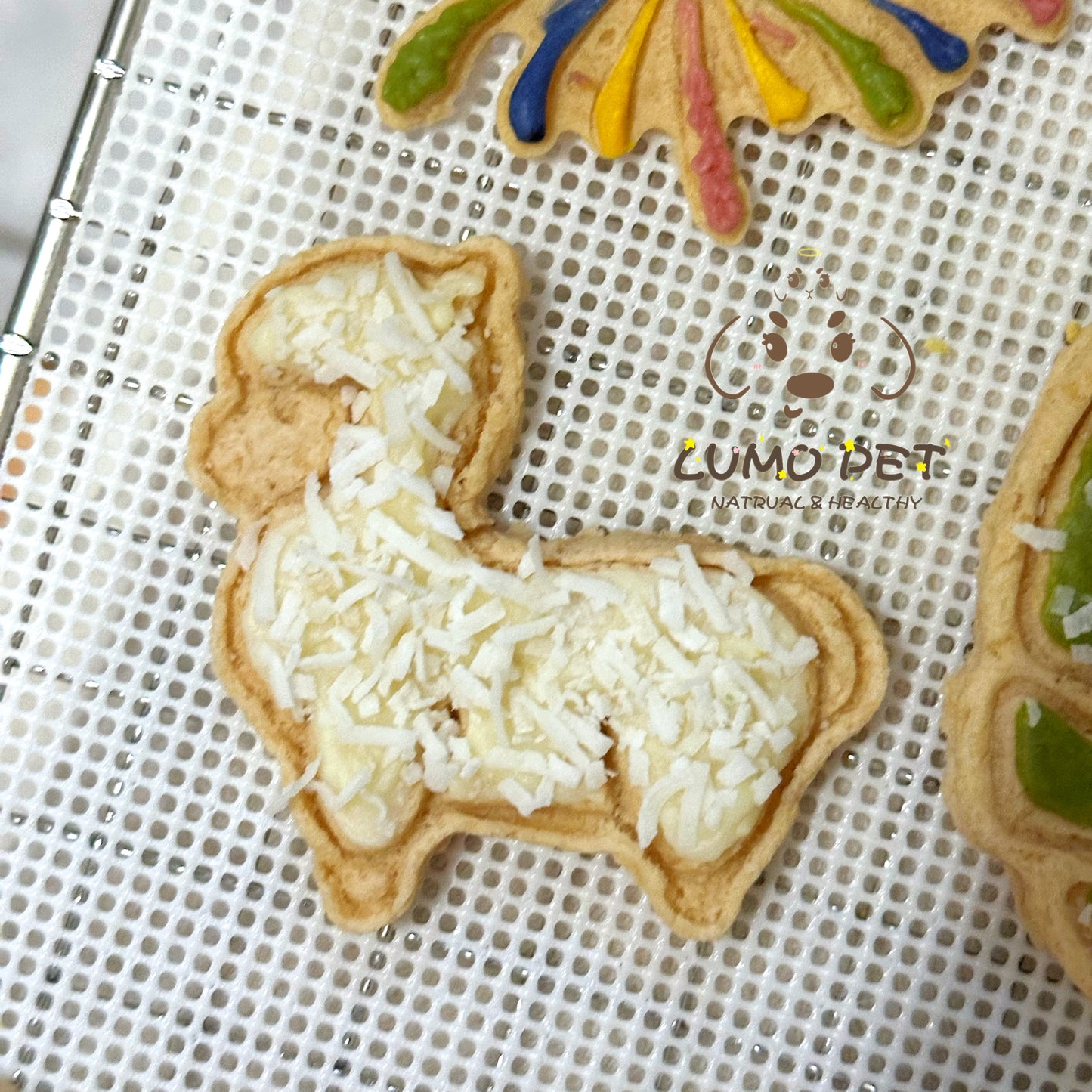 Little Sheep｜小羊饼干🐑