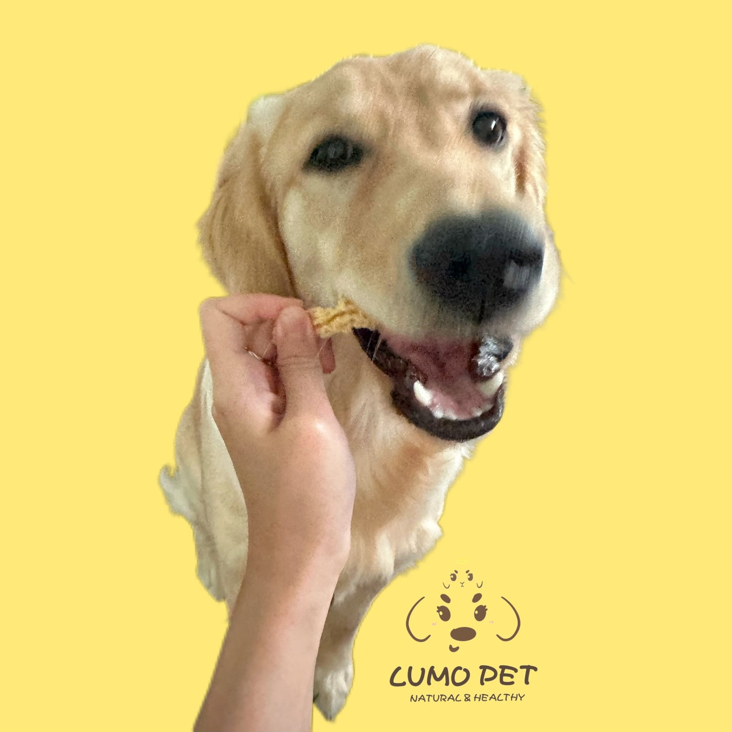 Milky Chew｜奶香磨牙棒