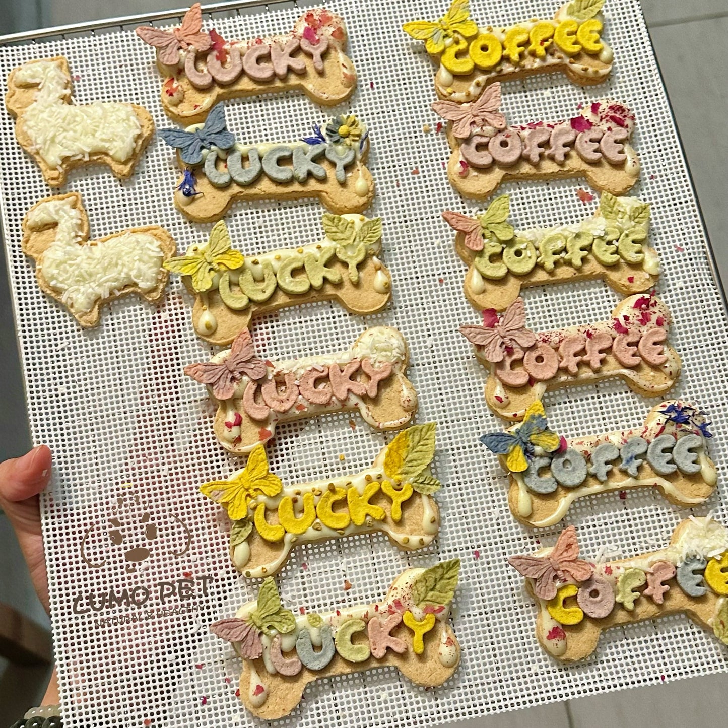 Customize Bone Biscuit | 订制骨头淋面饼干🦴