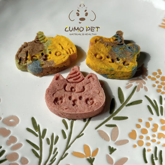 Birthday Party Biscuit | 生日派对饼干 🎉