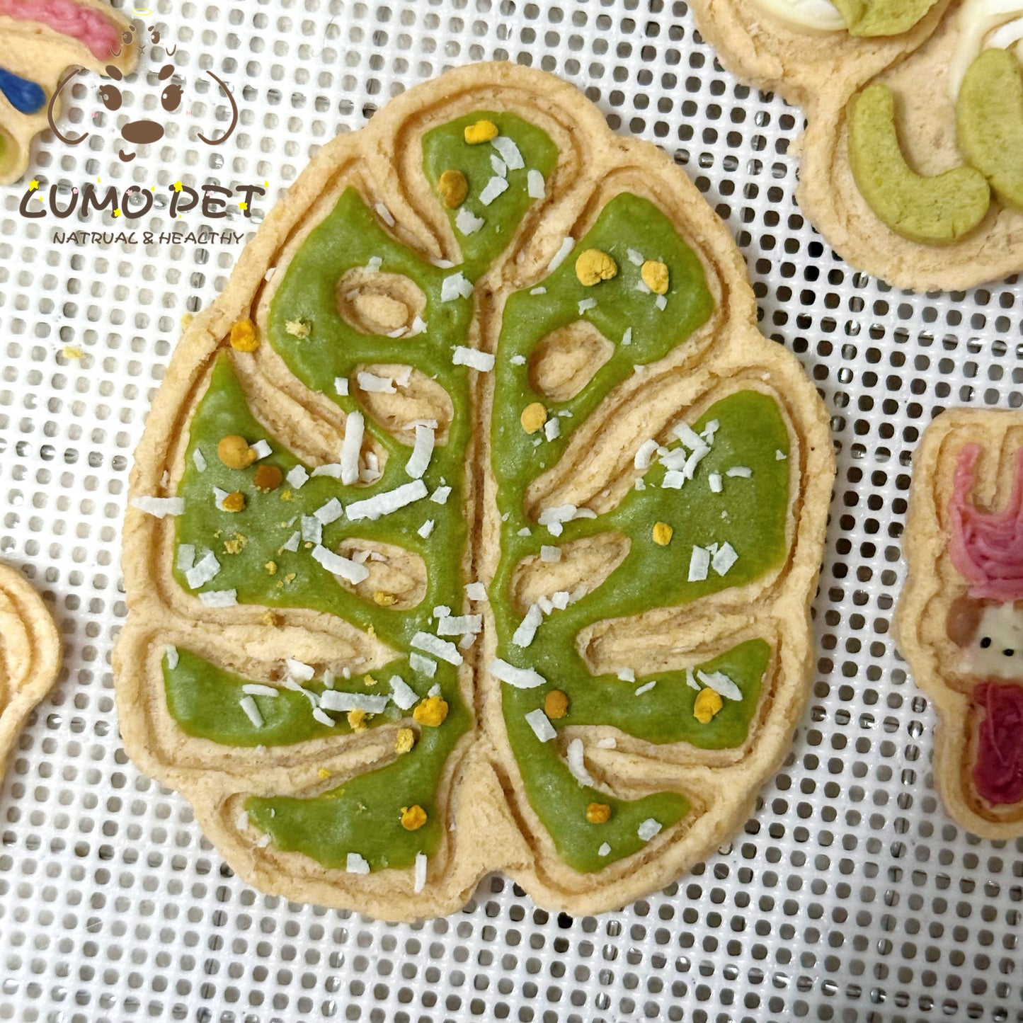 Monstera Biscuit｜龟背叶饼干