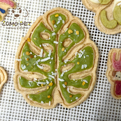 Monstera Biscuit｜龟背叶饼干