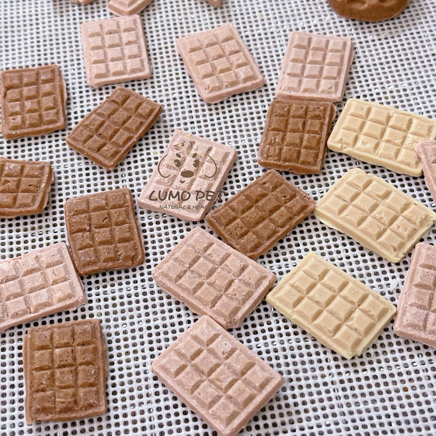 Pet's Chocolate | 宠物巧克力 🍫