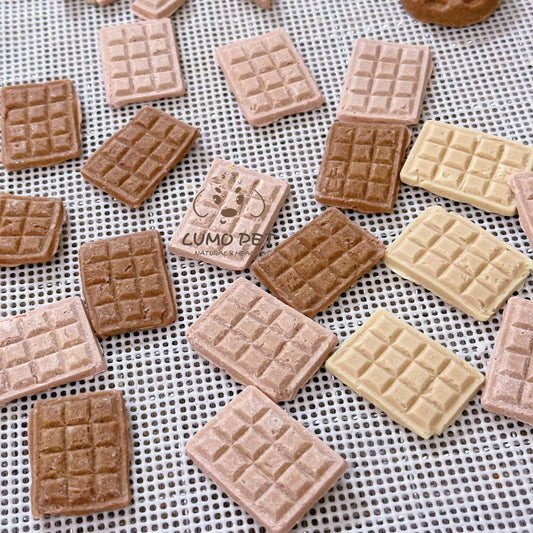 Pet's Chocolate | 宠物巧克力 🍫