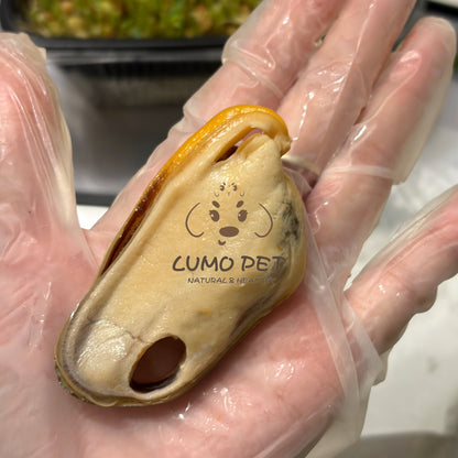 🇳🇿 New Zealand Greenshell Mussel｜新西兰绿唇贻贝 🦪