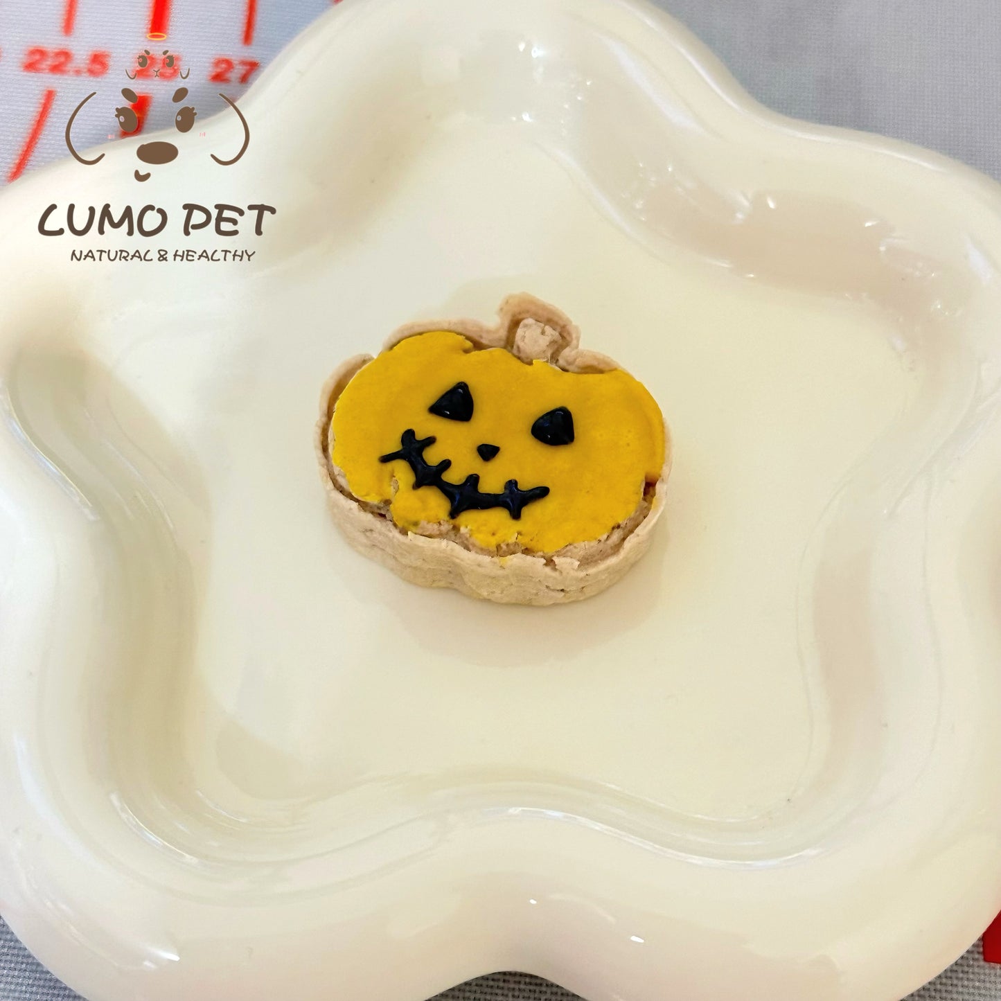 🎃Pumpkin｜万圣节南瓜