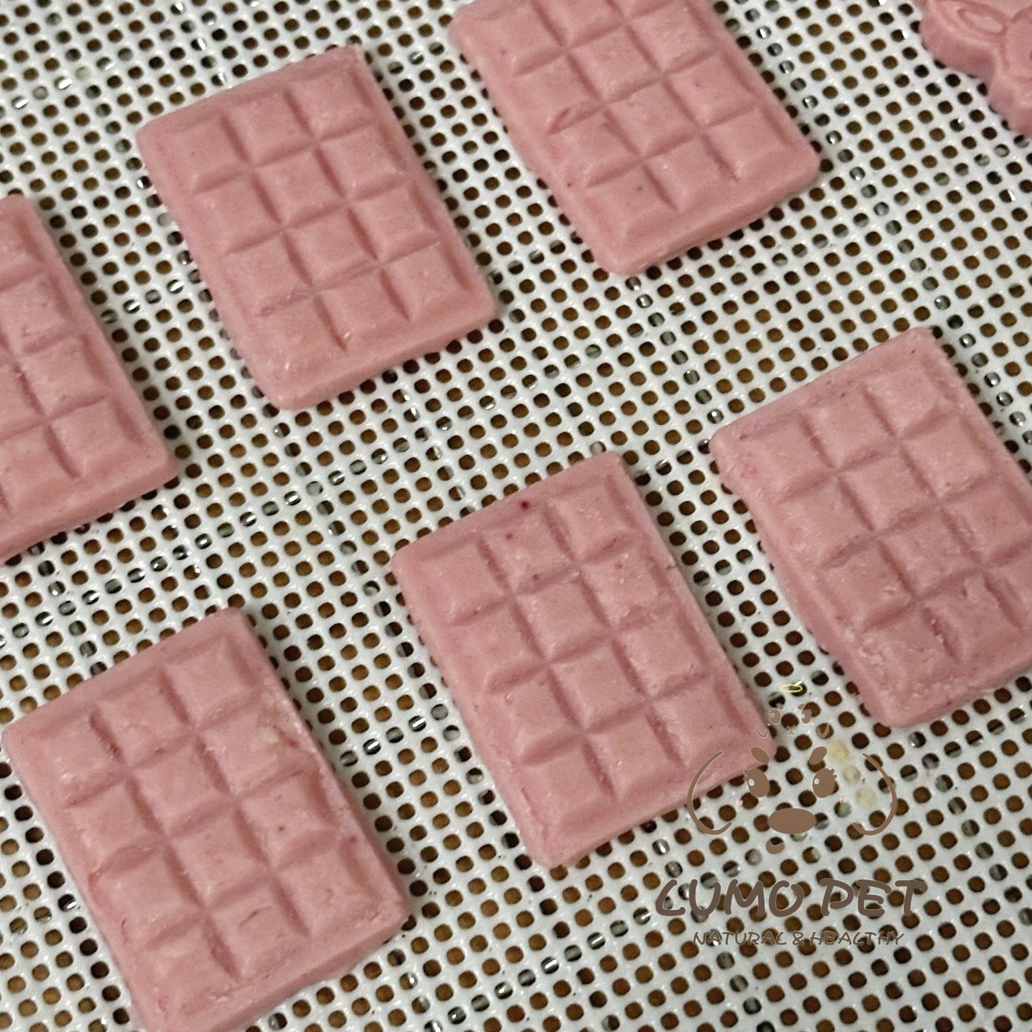 Pet's Chocolate | 宠物巧克力 🍫