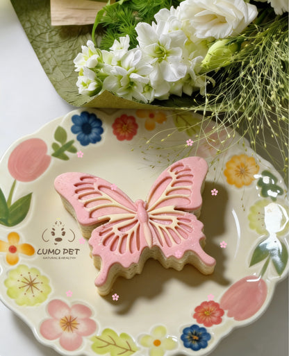 Butterfly Cake｜春日蝴蝶蛋糕 🦋🍰🌸