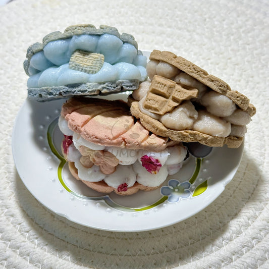 🐚 Shell Macaron｜贝壳马卡龙