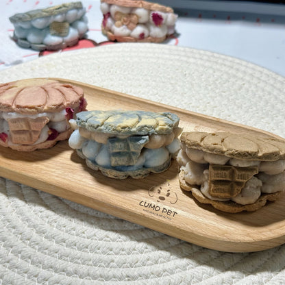 🐚 Shell Macaron｜贝壳马卡龙