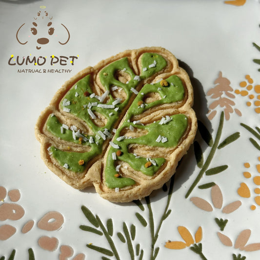 Monstera Biscuit｜龟背叶饼干