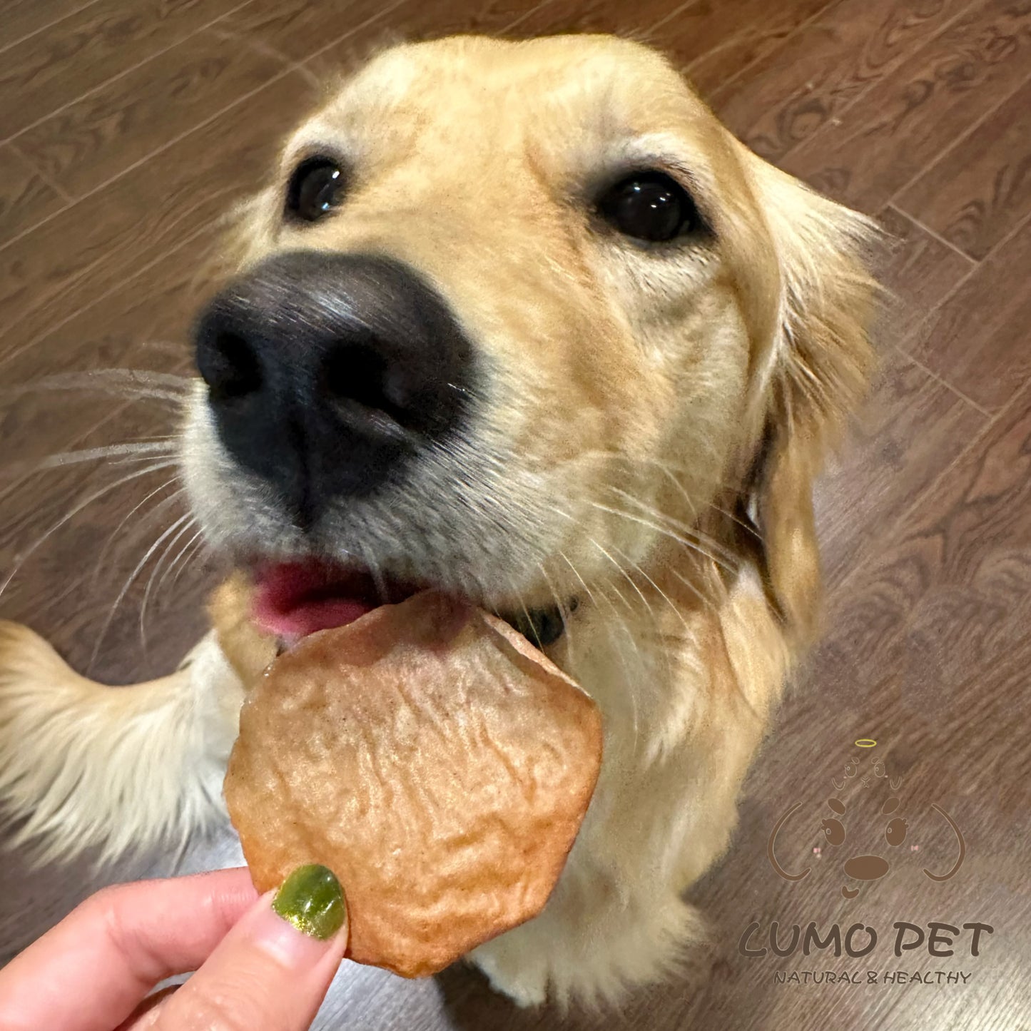 Chips | 宠物薯片