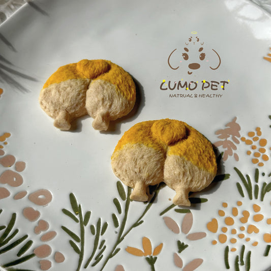 Corgi Butt｜柯基屁屁