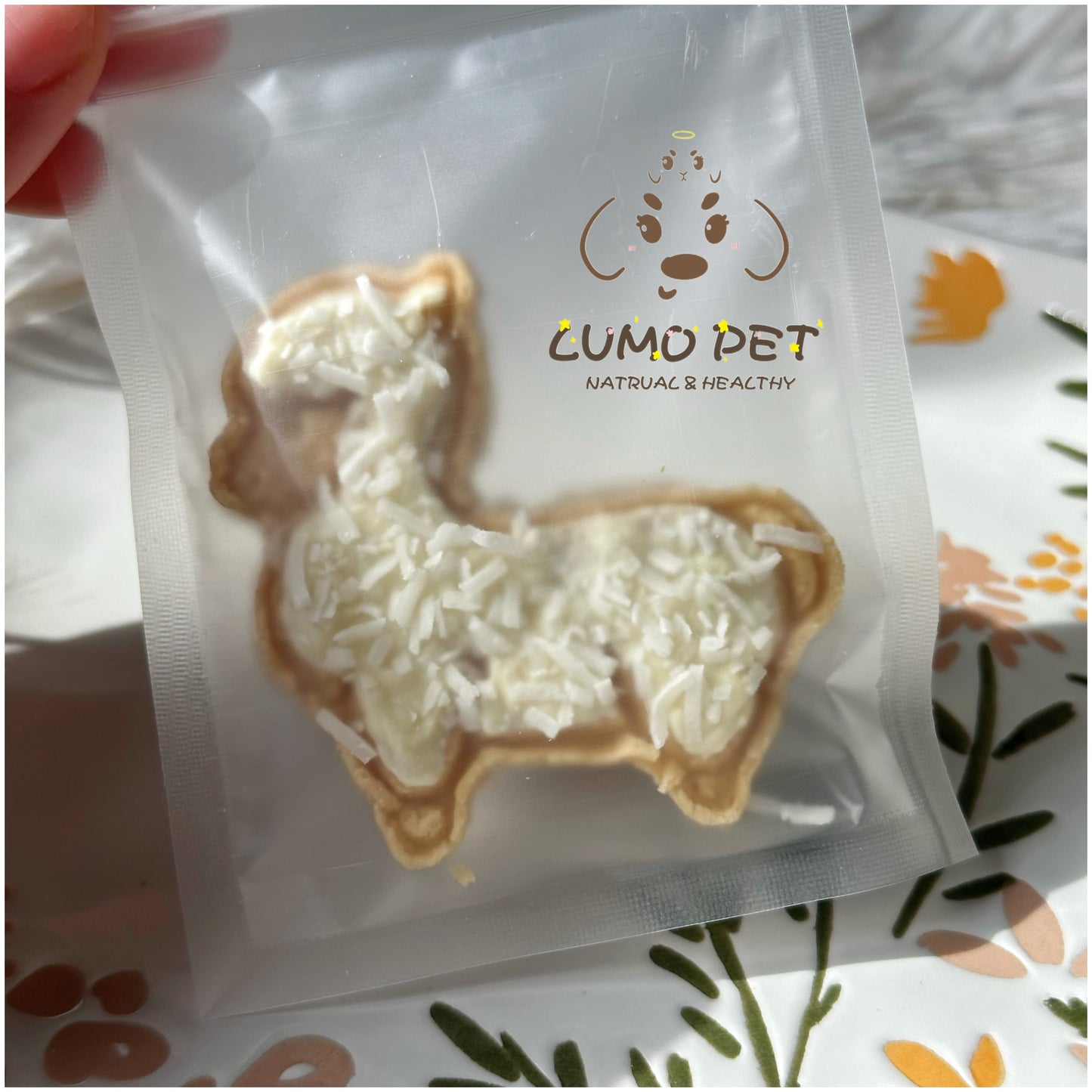 Little Sheep｜小羊饼干🐑