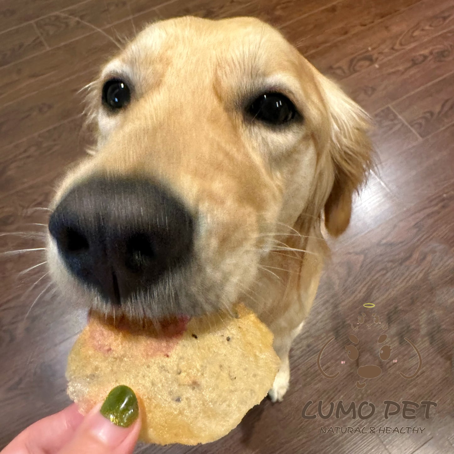 Chips | 宠物薯片