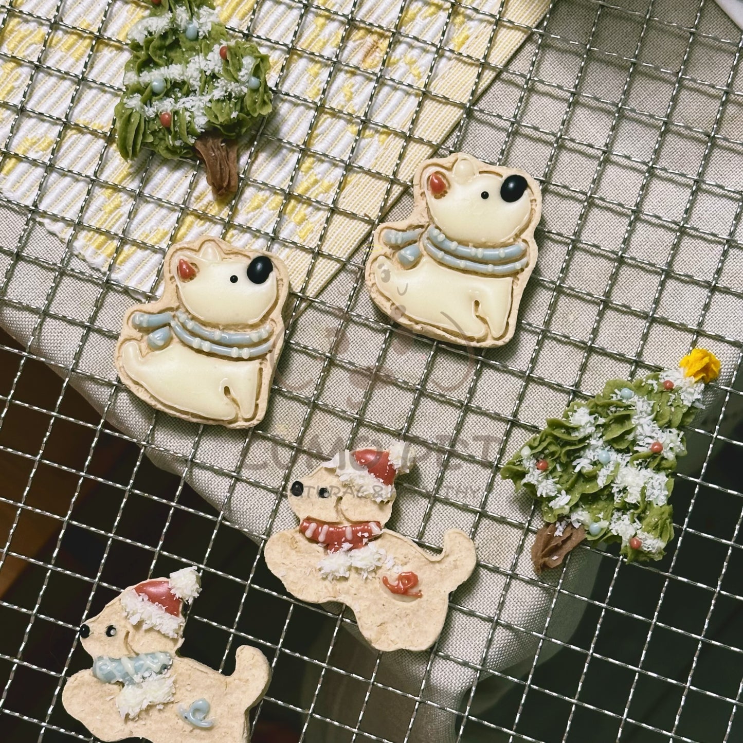 ❄️ Winter Dog｜冬日小狗
