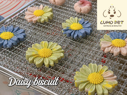 Daisy biscuit | 春日雏菊饼干