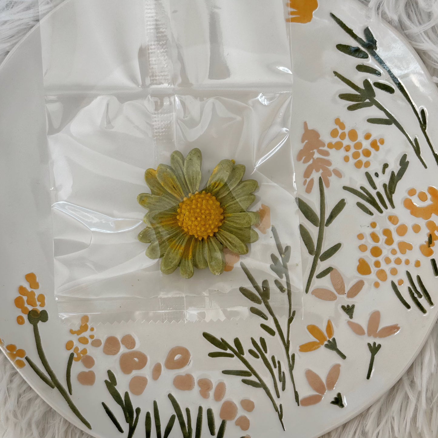 Daisy biscuit | 春日雏菊饼干