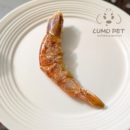 Shrimp | 虾 🦐