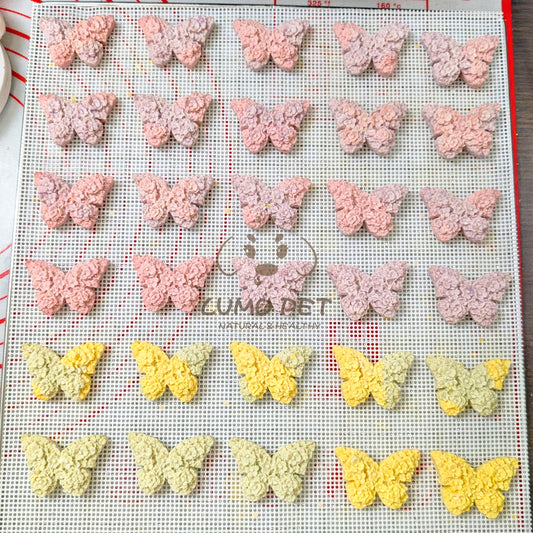 Flower Butterfly Biscuit | 花花蝴蝶饼干🦋