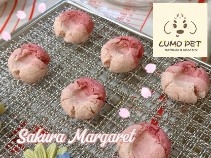 Sakura Margaret | 樱花渐变玛格丽